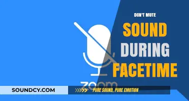 Facetime: Unmute to Connect Better