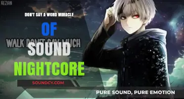 Miracle of Sound's 'Don't Say a Word' Nightcore Remix: A High-Energy Transformation