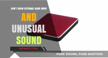 Troubleshooting External Hard Drive Issues: Silent Disappearance and Odd Noises