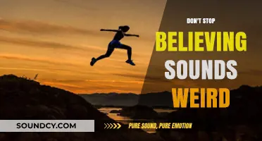 The Power of Perseverance: Don't Stop Believing