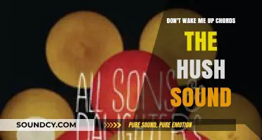 Mastering 'Don't Wake Me Up' Chords by The Hush Sound: A Guide