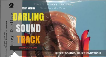 Don't Worry Darling: A Sonic Journey