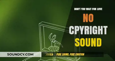 Don't Wait for Love: Copyright-Free Sounds to Inspire Your Journey