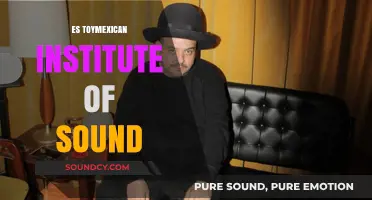 Exploring Mexico's Vibrant Music Scene: The Mexican Institute of Sound