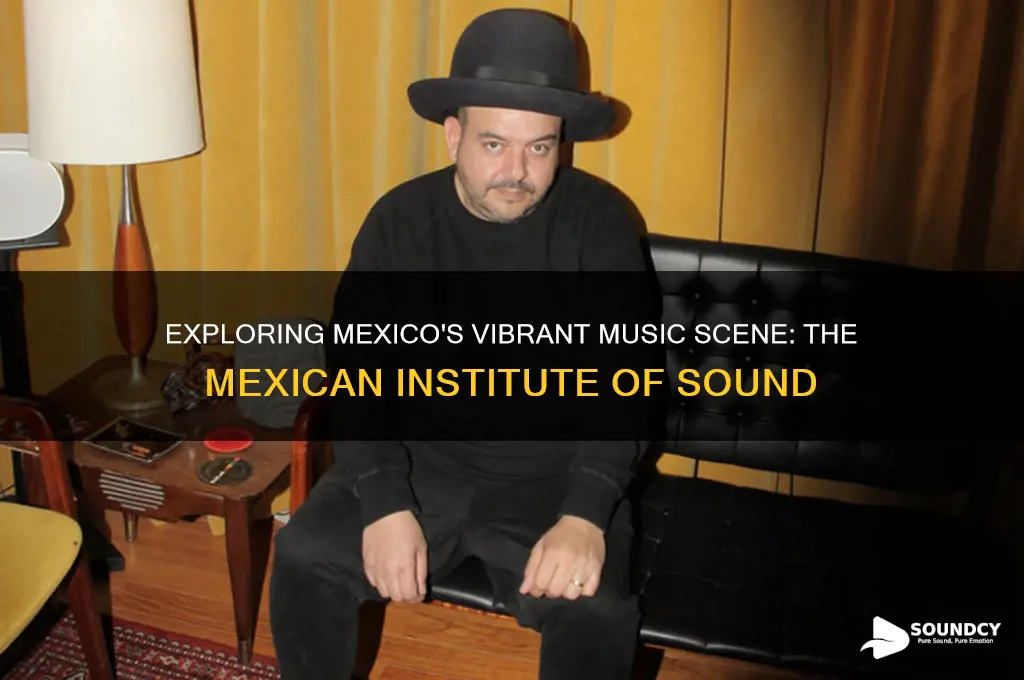 es toymexican institute of sound