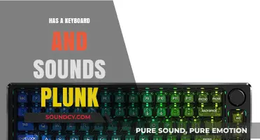 The Evolution of Keyboards: From Plunk to Perfect