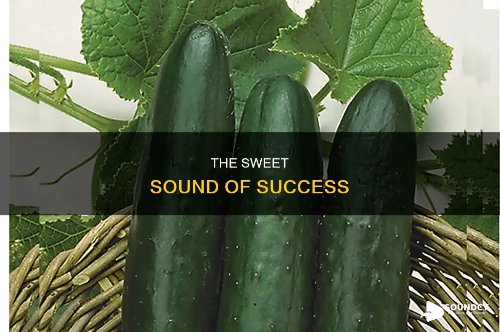 has a nice sound to it
