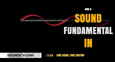 Mastering the Basics: Building Strong Foundations with Sound Fundamentals