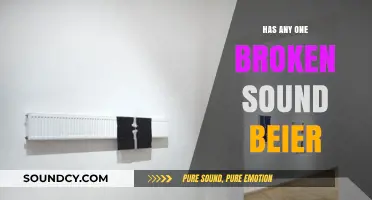The Mystery of Broken Sound Beiers