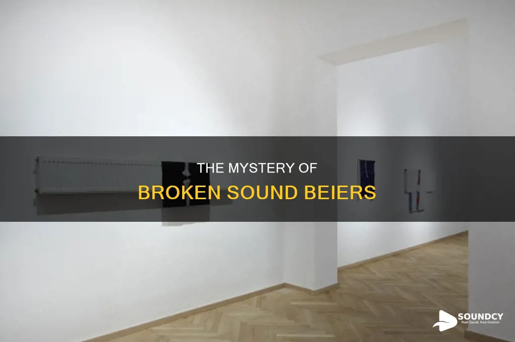 has any one broken sound beier