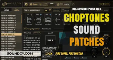 Choptones Sound Patches: Are They Worth Buying?