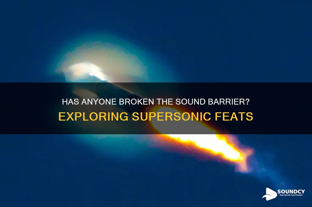 has anyone broken sound beier