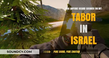 Mysterious Sounds on Mount Tabor: Unraveling Israel's Eerie Acoustic Enigma