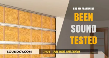 Sound Testing: Is Your Apartment Acoustically Sound?