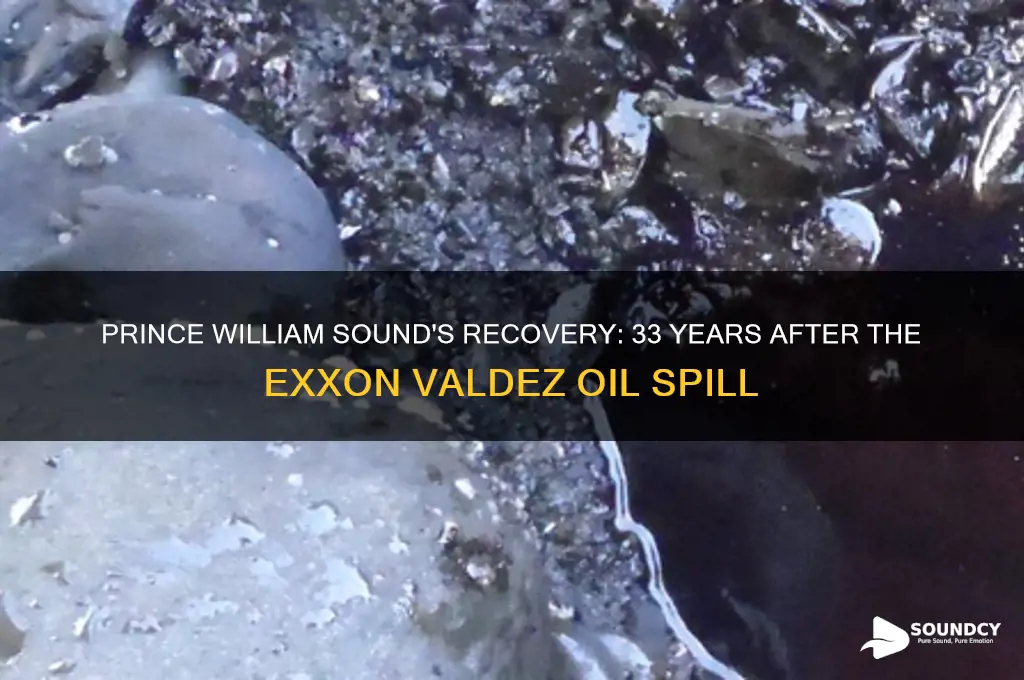 has prince william sound recovered from the oil spill