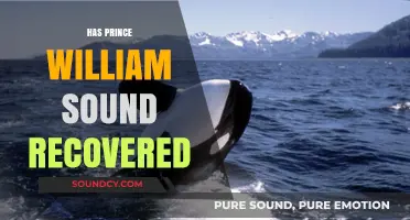 Prince William Sound's Recovery: Progress, Challenges, and Environmental Resilience