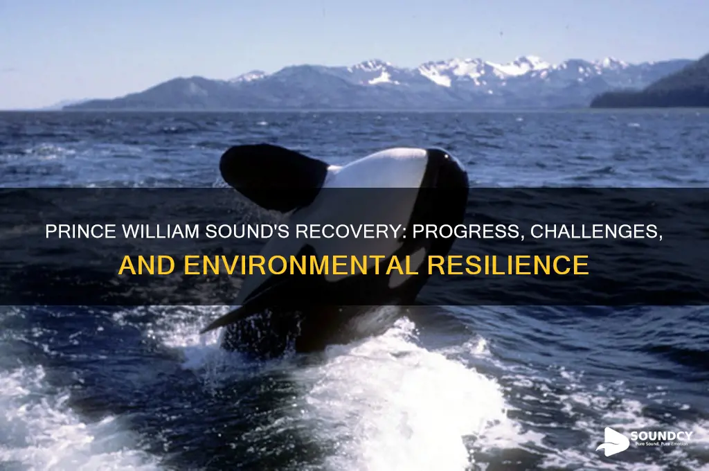 has prince william sound recovered