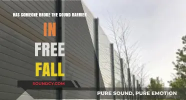 Breaking the Sound Barrier: Free Fall Record and Human Limits Explored