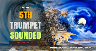 Has the 5th Trumpet Sounded? Exploring the Signs and Theories
