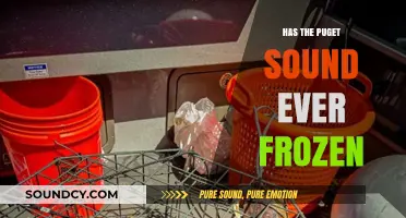 The Puget Sound: Did It Ever Freeze Over?