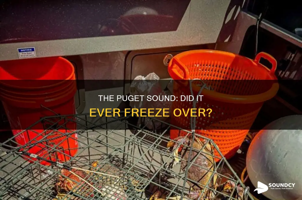 has the puget sound ever frozen