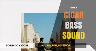Mastering the Iconic 'Have a Cigar' Bass Tone: Techniques and Gear