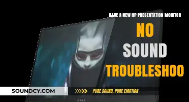 Troubleshooting HP Presentation Monitor: No Sound Solutions and Fixes