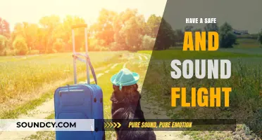 Safe and Sound: Tips for a Stress-Free Flight