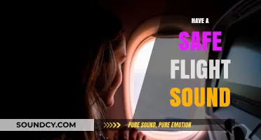 Wishing You a Safe Flight: The Power of Reassuring Travel Sounds