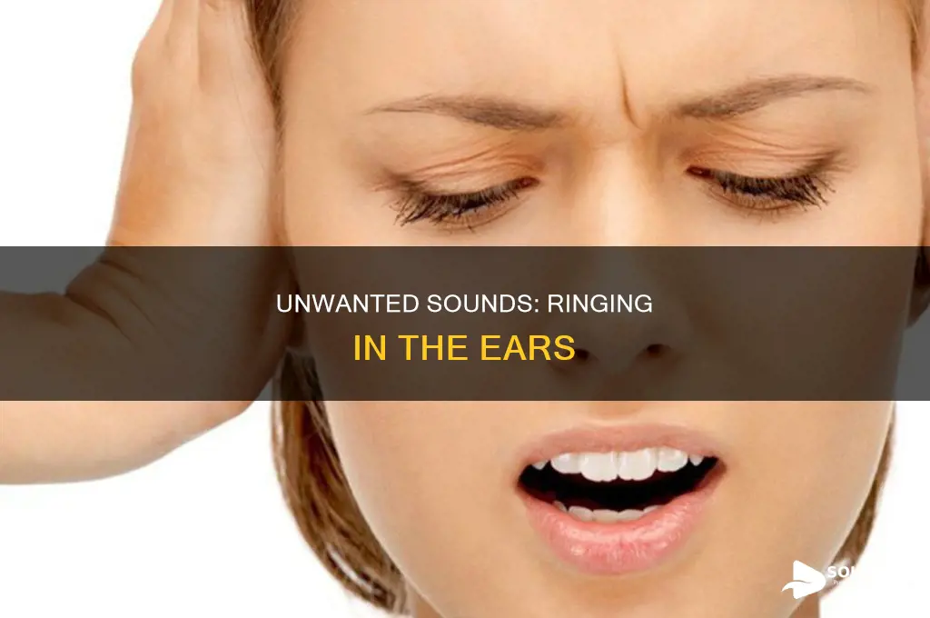 have a sound in my ear
