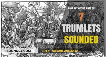 Have the Trumpets of Woe Sounded? Exploring the Seven Trumlets