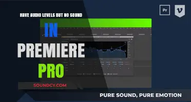 Fixing Premiere Pro Audio Issues: Levels Visible, No Sound Output