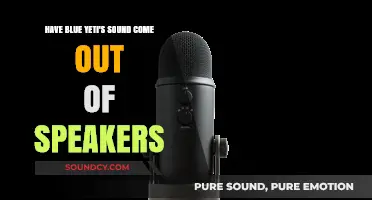 Can Blue Yeti Microphone Audio Output Through External Speakers?
