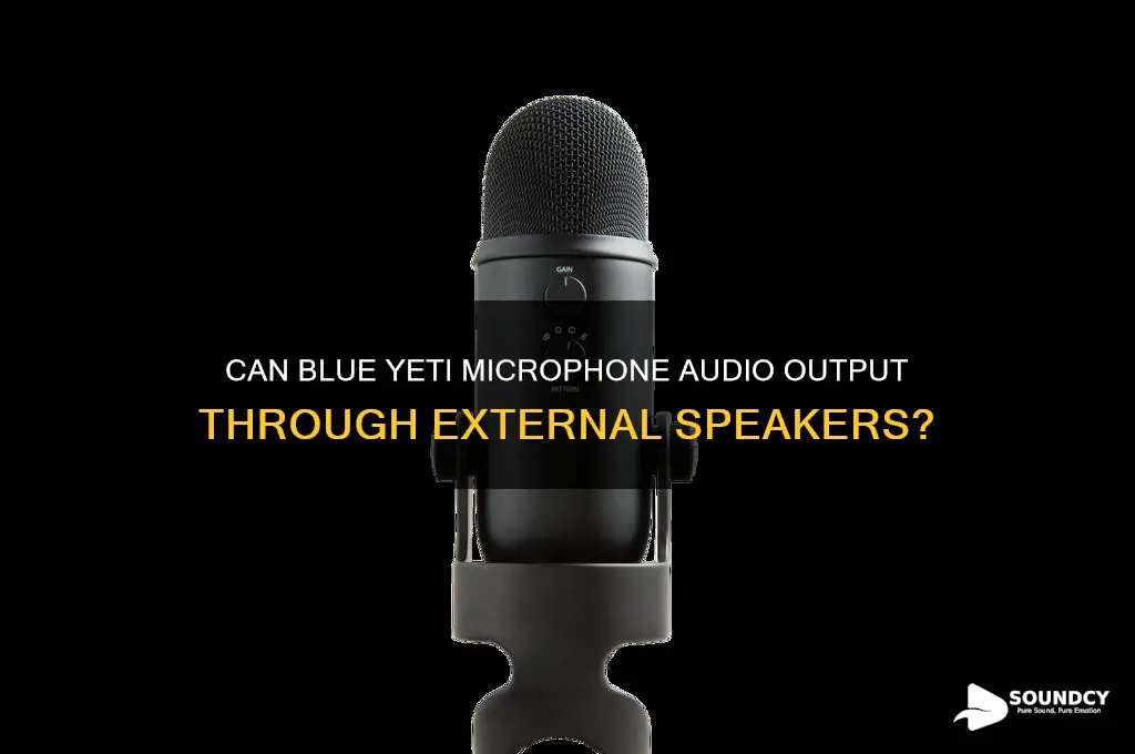 have blue yeti