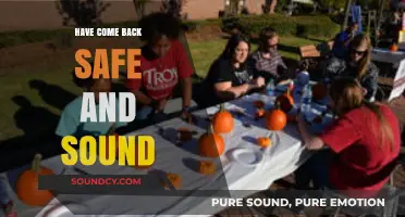 Safe Returns: A Sound Homecoming