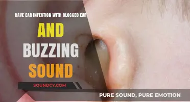 Clogged Ear and Buzzing Sound: Understanding and Treating Ear Infections