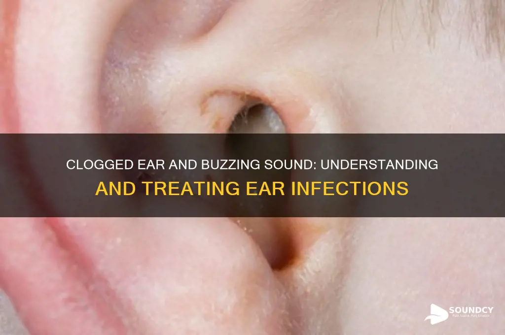 have ear infection with clogged ear and buzzing sound
