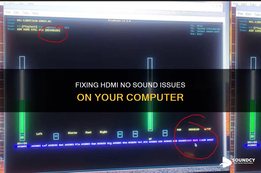 have hdmi computer saying no sound