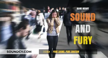 Heart's Sound and Fury: Unraveling the Chaos Within Emotional Storms