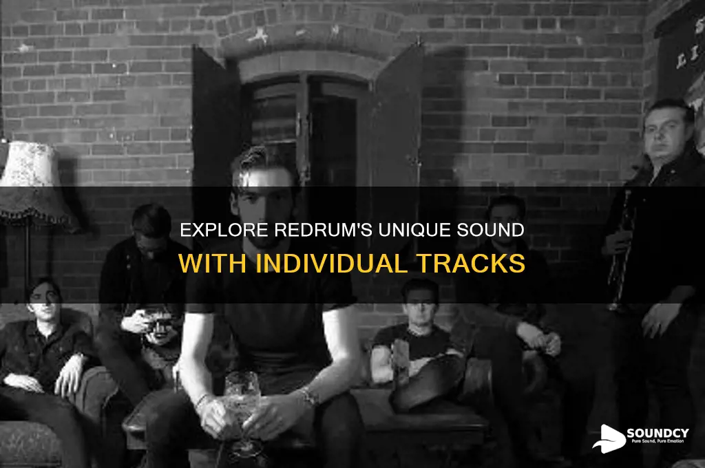 have individual tracks for redrum sounds