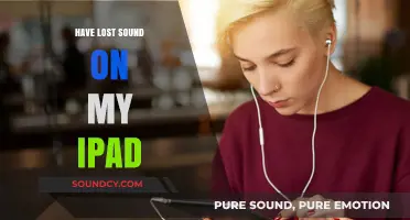 Fixing Audio Issues on Your iPad