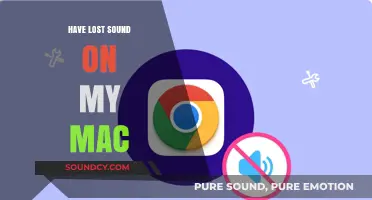 Troubleshooting Audio Issues on Your Mac