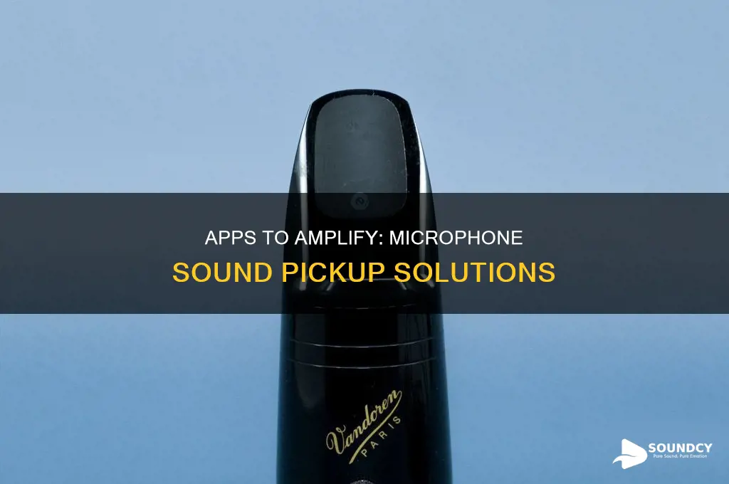 have mic pick up sound application
