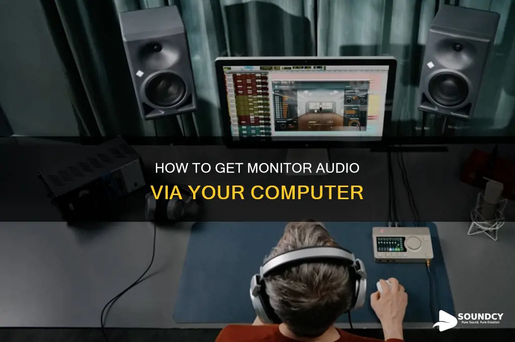 have monitor sound come through computer