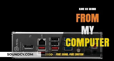 Troubleshooting Computer Sound Issues: No Audio Output