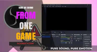 Troubleshooting Audio Issues in a Single Game