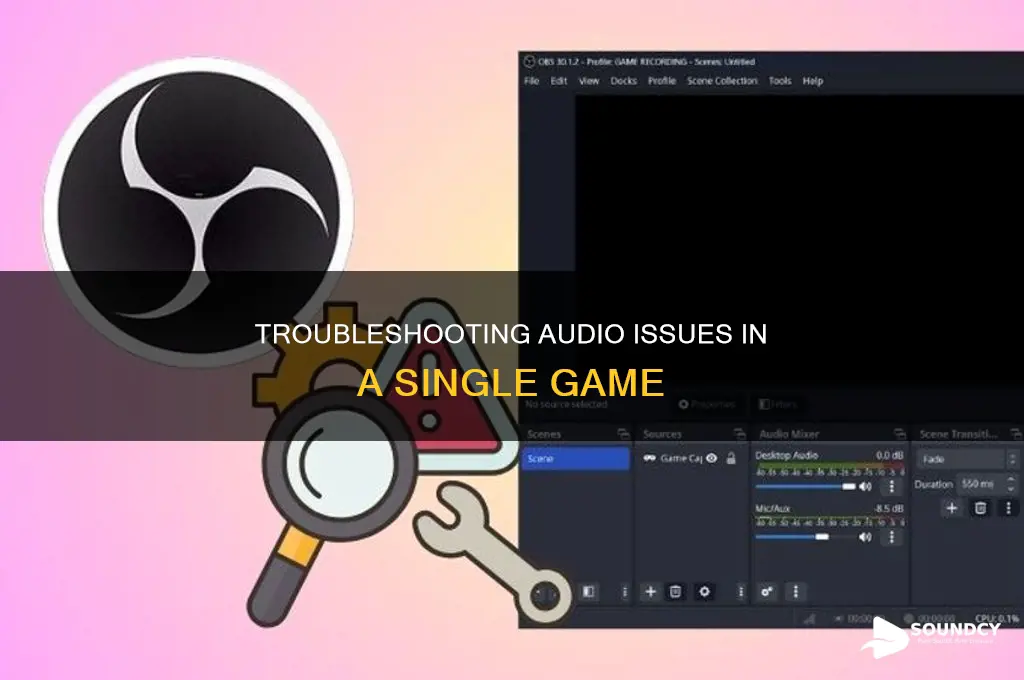 have no sound from one game