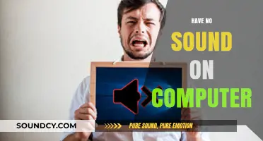 No Sound on Your Computer? Troubleshooting Tips to Fix Audio Issues