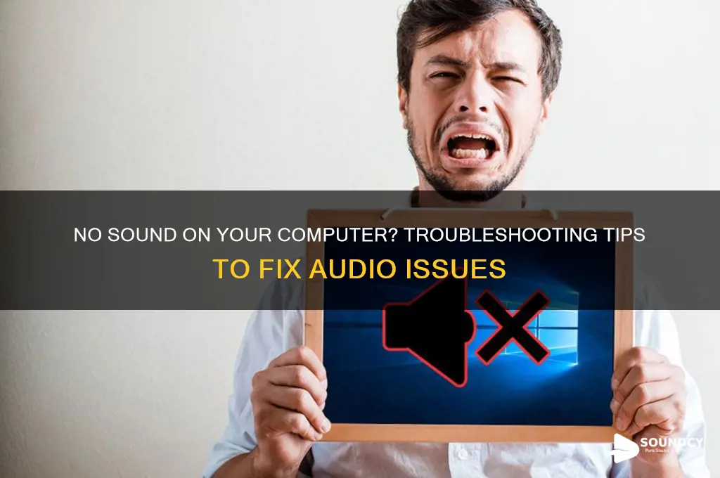 have no sound on computer