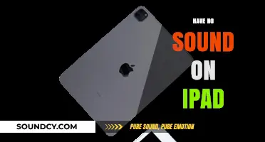 Troubleshooting iPad Sound Issues: Quick Fixes for No Audio Problem